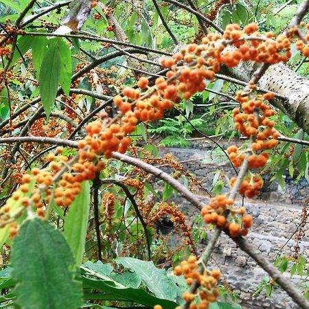 Mayapott Plantation Villa Thekkady Εξωτερικό φωτογραφία